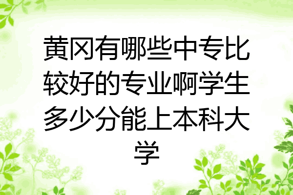 黄冈有哪些中专比较好的专业啊学生多少分能上本科大学