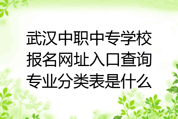 武汉中职中专学校报名网址入口查询专业分类表是什么