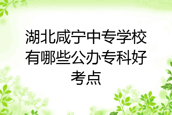 湖北咸宁中专学校有哪些公办专科好考点