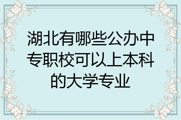 湖北有哪些公办中专职校可以上本科的大学专业