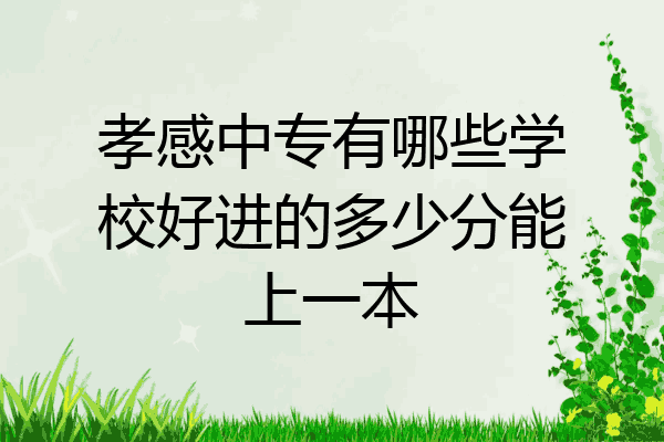 孝感中专有哪些学校好进的多少分能上一本