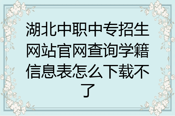湖北中职中专招生网站官网查询学籍信息表怎么下载不了