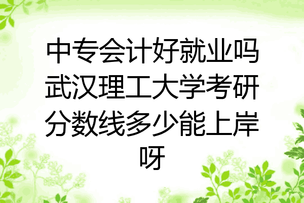 中专会计好就业吗武汉理工大学考研分数线多少能上岸呀