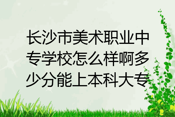 长沙市美术职业中专学校怎么样啊多少分能上本科大专