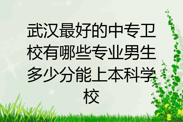 武汉最好的中专卫校有哪些专业男生多少分能上本科学校