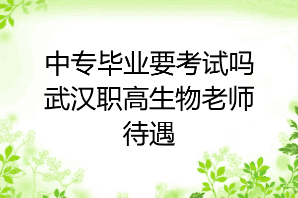 中专毕业要考试吗武汉职高生物老师待遇