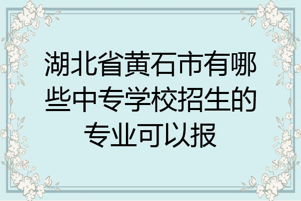 湖北省黄石市有哪些中专学校招生的专业可以报