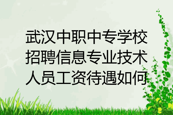 武汉中职中专学校招聘信息专业技术人员工资待遇如何