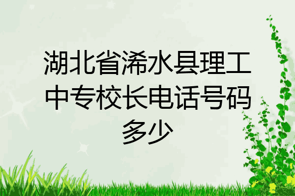 湖北省浠水县理工中专校长电话号码多少