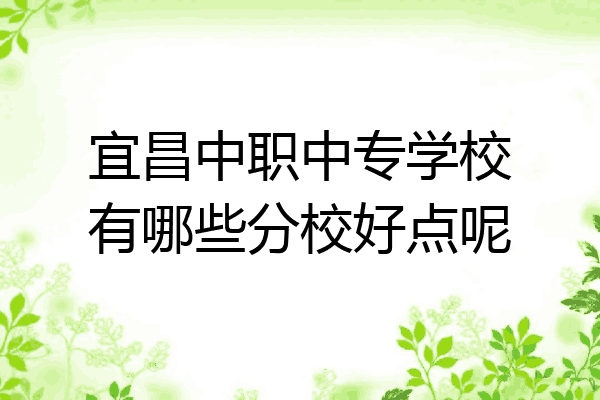 宜昌中职中专学校有哪些分校好点呢