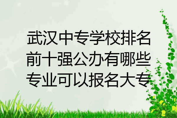 武汉中专学校排名前十强公办有哪些专业可以报名大专