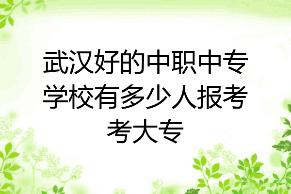 武汉好的中职中专学校有多少人报考考大专