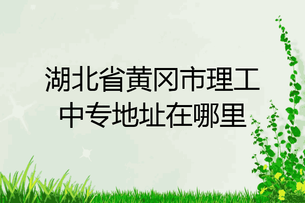 湖北省黄冈市理工中专地址在哪里