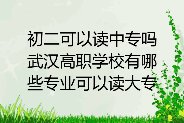 初二可以读中专吗武汉高职学校有哪些专业可以读大专
