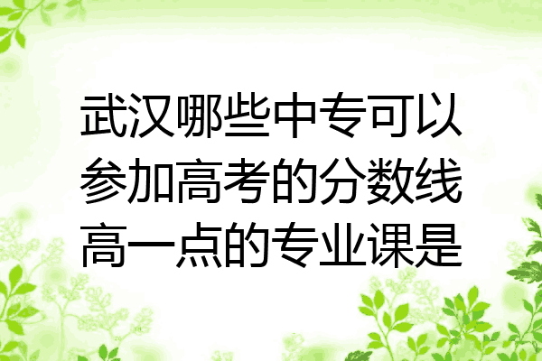 武汉哪些中专可以参加高考的分数线高一点的专业课是