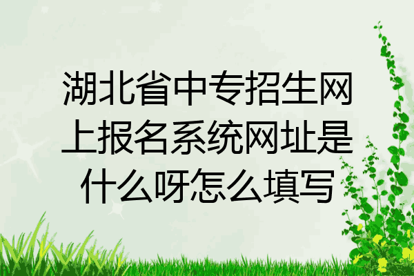 湖北省中专招生网上报名系统网址是什么呀怎么填写
