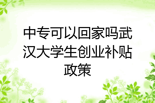 中专可以回家吗武汉大学生创业补贴政策