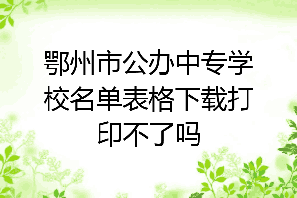 鄂州市公办中专学校名单表格下载打印不了吗