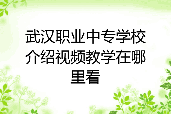 武汉职业中专学校介绍视频教学在哪里看