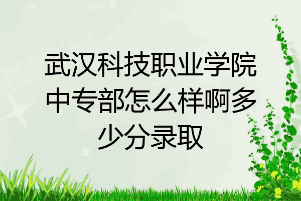 武汉科技职业学院中专部怎么样啊多少分录取