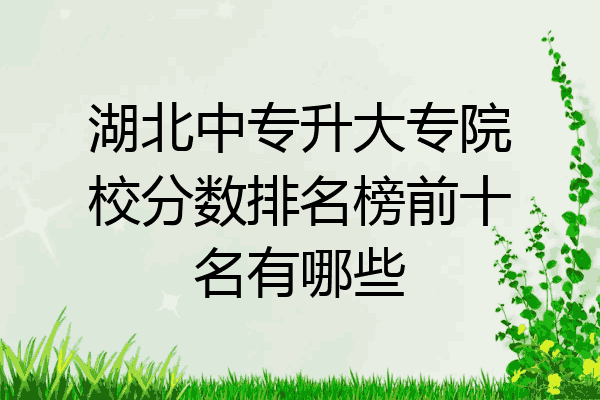 湖北中专升大专院校分数排名榜前十名有哪些