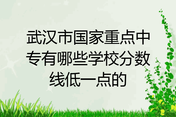 武汉市国家重点中专有哪些学校分数线低一点的