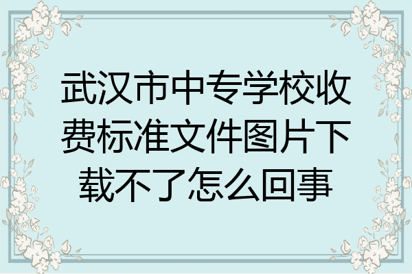 武汉市中专学校收费标准文件图片下载不了怎么回事