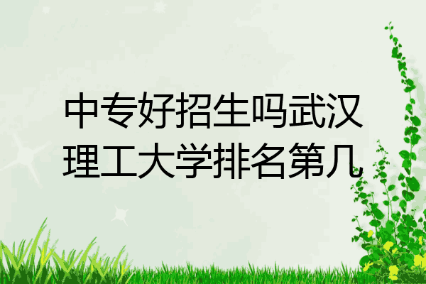 中专好招生吗武汉理工大学排名第几