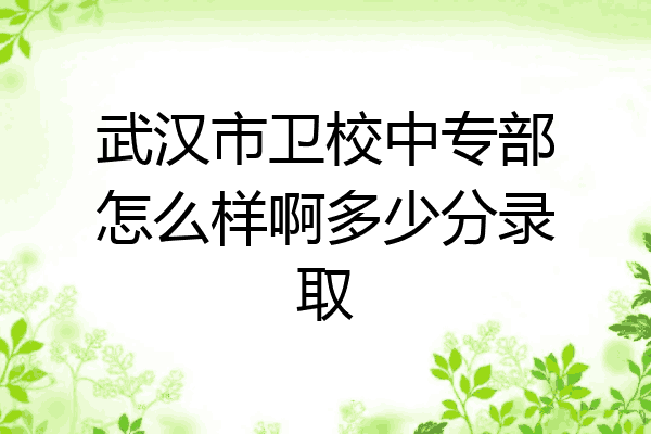 武汉市卫校中专部怎么样啊多少分录取