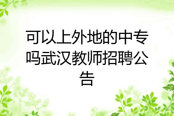 可以上外地的中专吗武汉教师招聘公告
