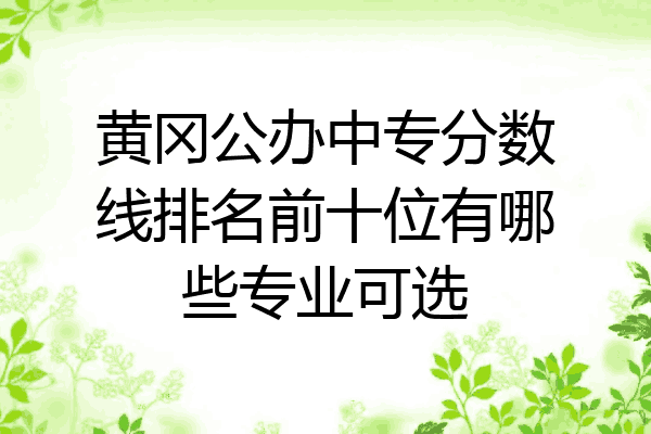 黄冈公办中专分数线排名前十位有哪些专业可选