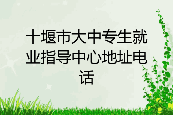 十堰市大中专生就业指导中心地址电话