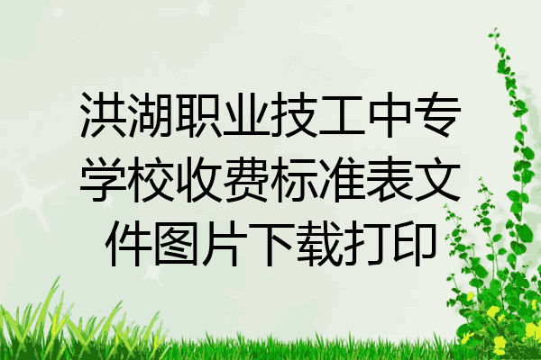 洪湖职业技工中专学校收费标准表文件图片下载打印
