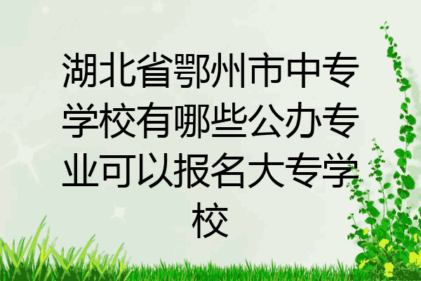 湖北省鄂州市中专学校有哪些公办专业可以报名大专学校