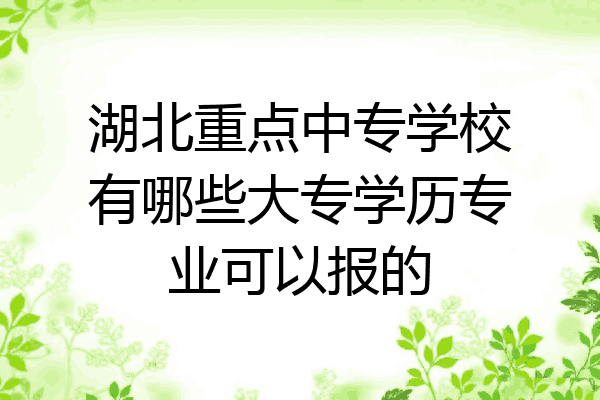 湖北重点中专学校有哪些大专学历专业可以报的