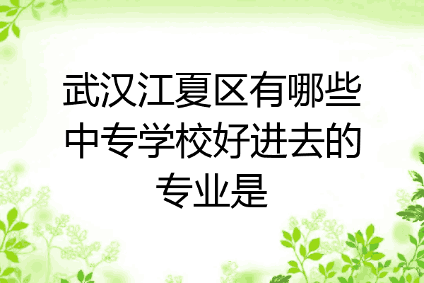武汉江夏区有哪些中专学校好进去的专业是