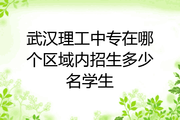 武汉理工中专在哪个区域内招生多少名学生