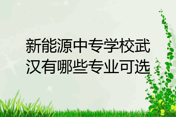 新能源中专学校武汉有哪些专业可选