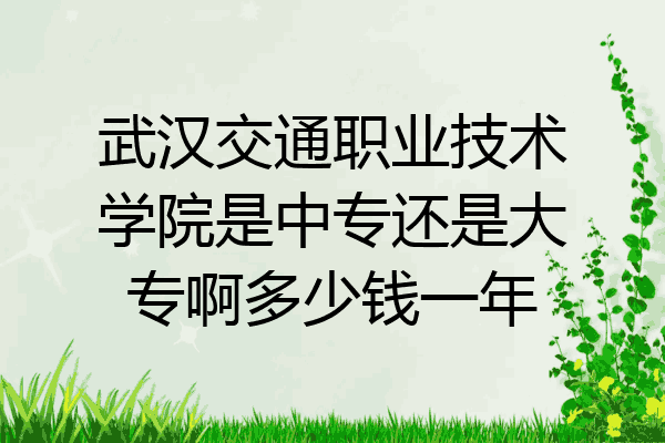 武汉交通职业技术学院是中专还是大专啊多少钱一年