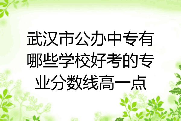 武汉市公办中专有哪些学校好考的专业分数线高一点