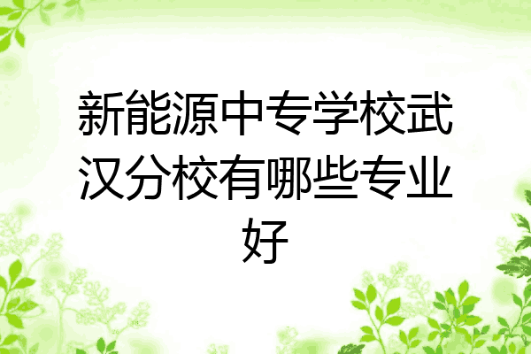 新能源中专学校武汉分校有哪些专业好