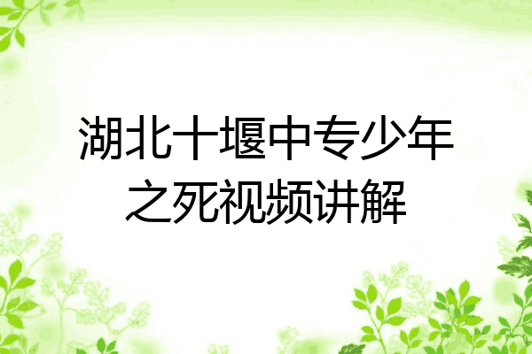 湖北十堰中专少年之死视频讲解