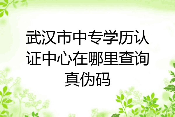 武汉市中专学历认证中心在哪里查询真伪码
