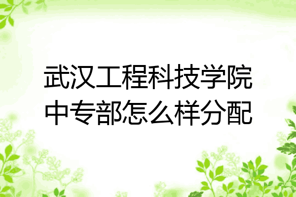 武汉工程科技学院中专部怎么样分配