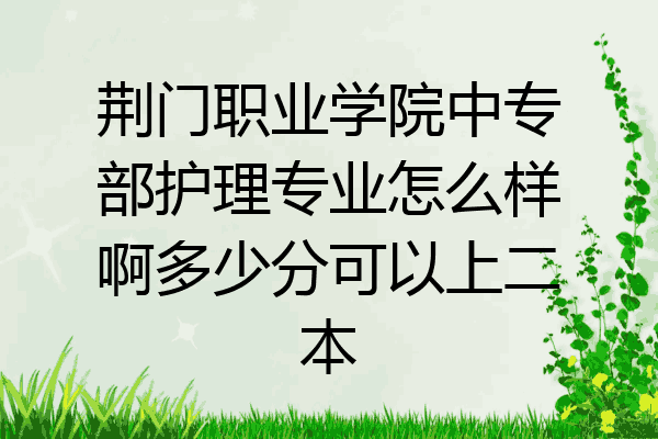 荆门职业学院中专部护理专业怎么样啊多少分可以上二本