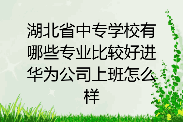 湖北省中专学校有哪些专业比较好进华为公司上班怎么样
