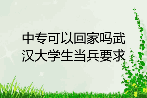中专可以回家吗武汉大学生当兵要求