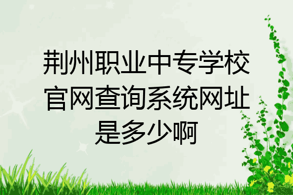 荆州职业中专学校官网查询系统网址是多少啊