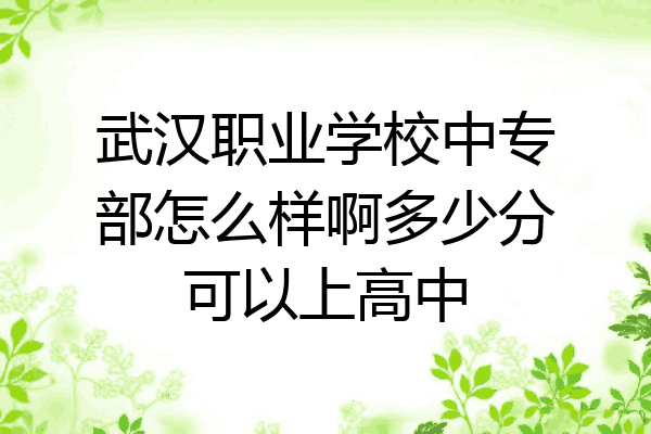 武汉职业学校中专部怎么样啊多少分可以上高中