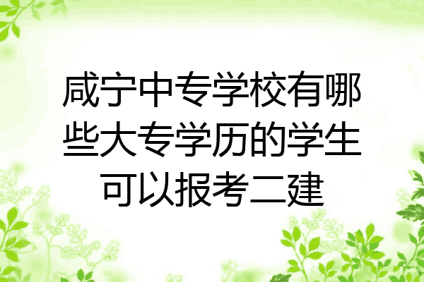 咸宁中专学校有哪些大专学历的学生可以报考二建